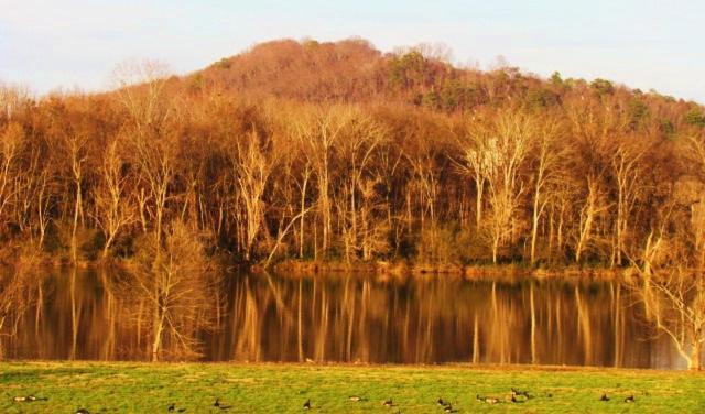 שאטאנוגה Little River Guest House At Tennessee Riverplace מראה חיצוני תמונה